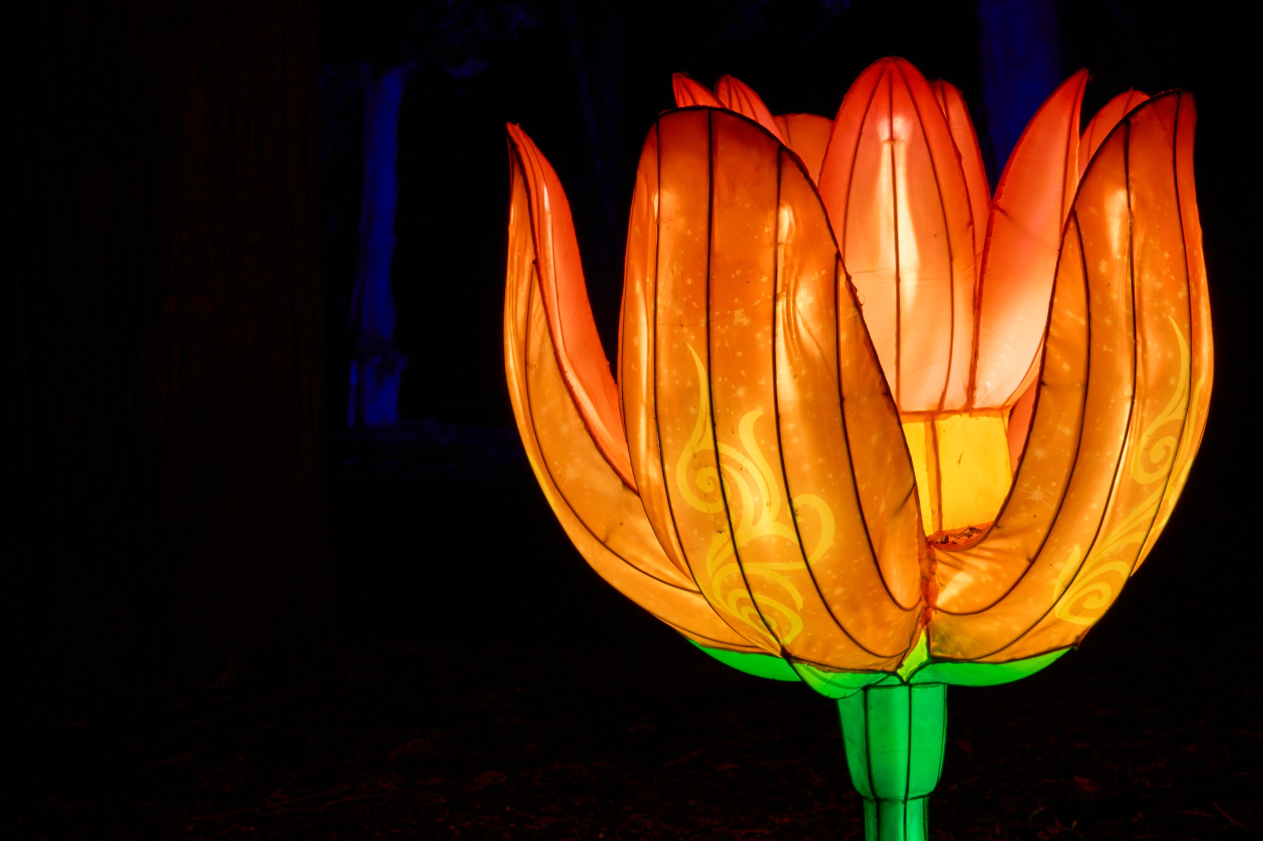 2026 02 03 Parkleuchten 0289